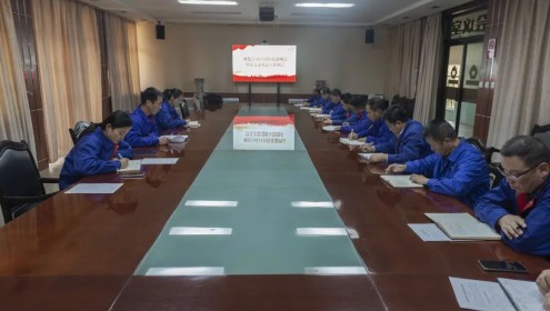 公司召開(kāi)十一月份黨建例會(huì)暨黨支部書記工作例會(huì)